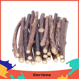 SET 5 QUE GỖ CATNIP BẠC HÀ CHO MÈO