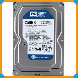 Ổ cứng HDD WD Western 250GB - Bảo Hành 24 Tháng [hana] [Rẻ nhất]