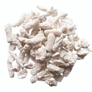San Hô Lọc Nước cho Hồ Cá 500gram