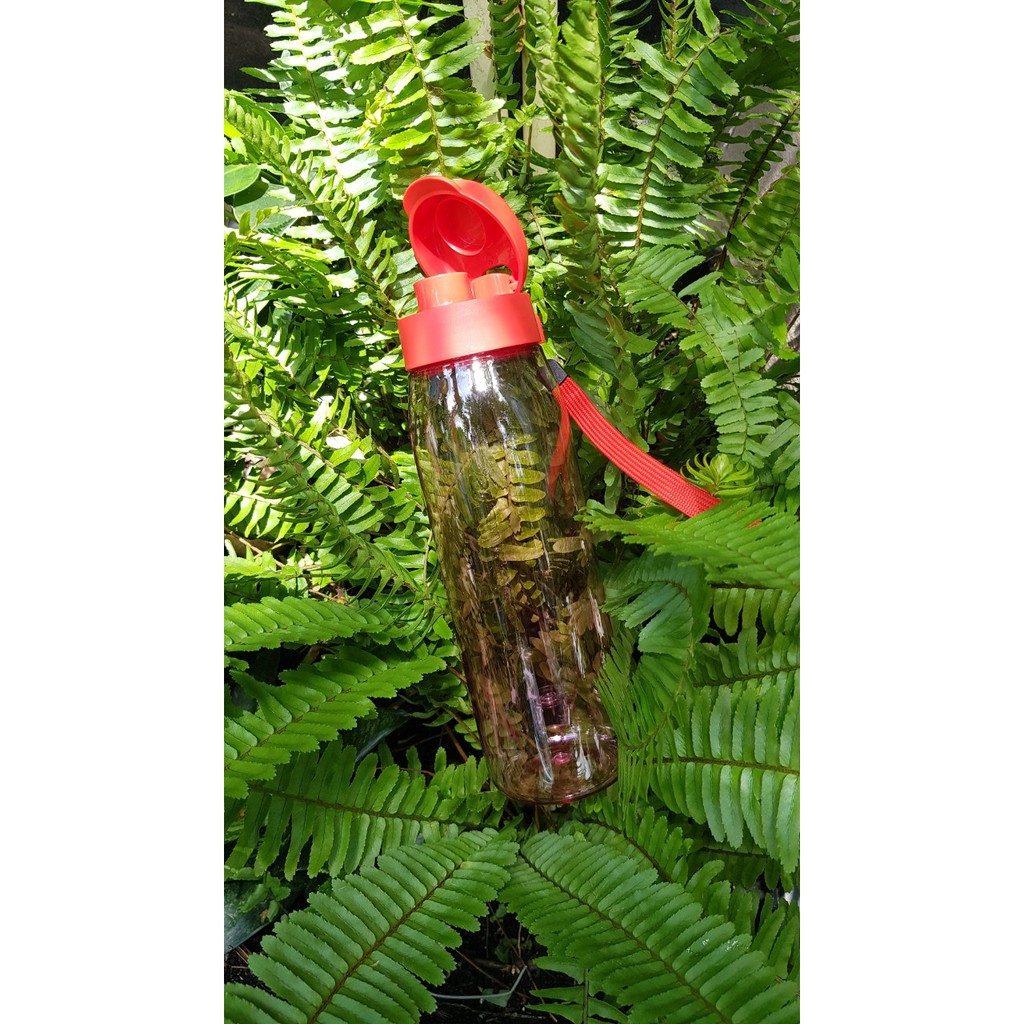 Bình nước Lohas 750ml Tupperware chịu được nhiệt đến 120 độ