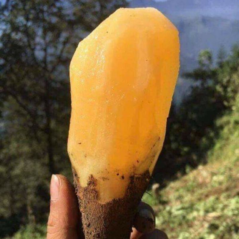 Khoai sâm đất 4kg