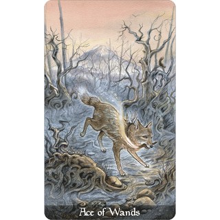 Bài Tarot - Bộ Fairy Tale Tarot