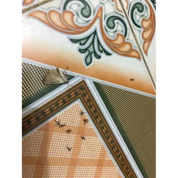 Hương muỗi Thái Lan - combodia