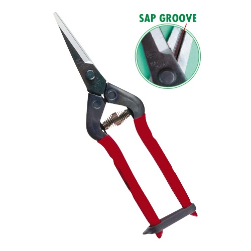 Kéo tỉa cành cao cấp Nhật Bản Chikamasa T-55C chiều dài lưỡi 48mm - lưỡi thép không gỉ chất lượng cao siêu bén