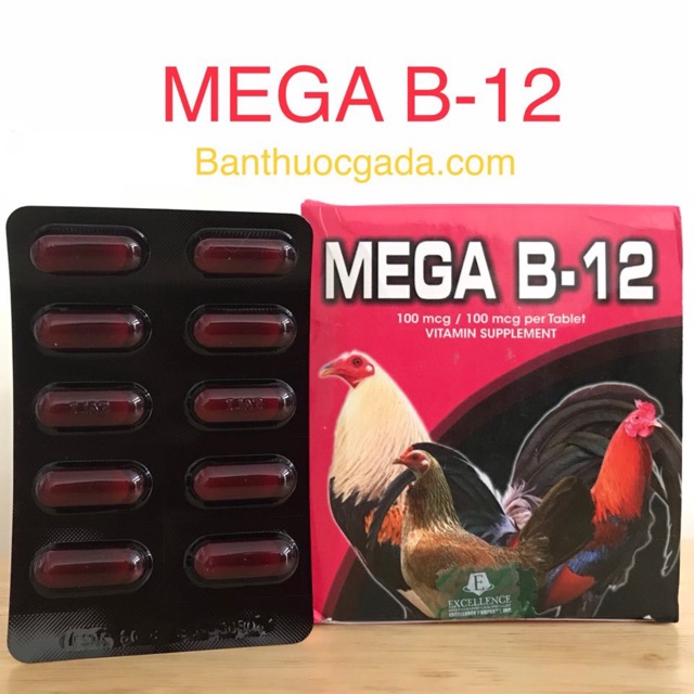 Vitamin MEGA B12 nuôi gia cầm 1 HỘP, bóng lông, hừng gà, Philippine