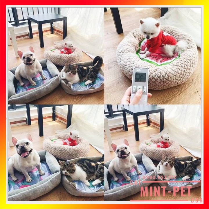 Đệm Làm Mát Gel Nước Cho Thú Cưng Chó Mèo #MintPet