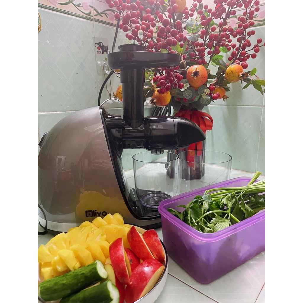 Máy Ép Chậm Trục Ngang Olivo SJ22 - Hàng chính hãng