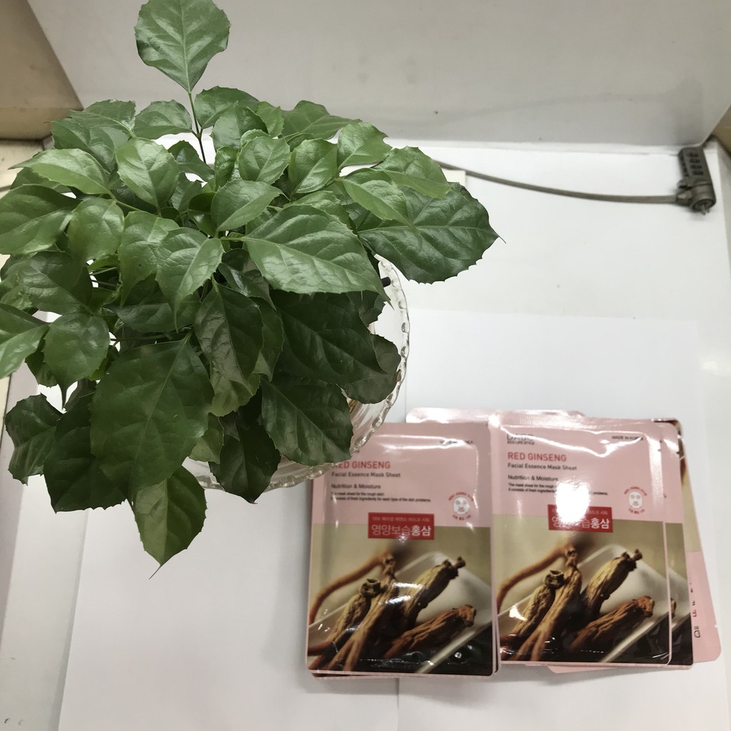 🌺 Mặt Nạ Hồng Sâm Hàn Quốc 🍍FREE SHIP🍍 Dưỡng Da Chuyên Sâu hàng chính hãng