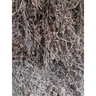 1kg Thạch đen nương thạch an sương sáo