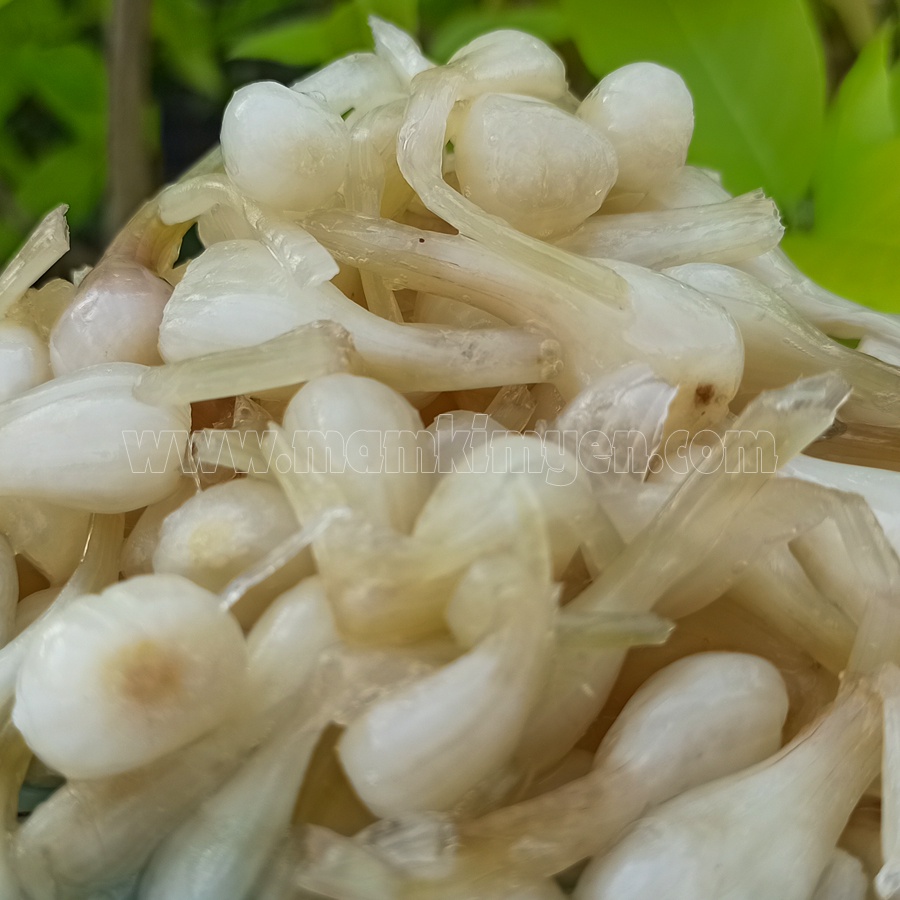 500gr Củ Kiệu Ngâm Đường Giòn Thơm Hiệu Ông Bà 5 Châu Đốc