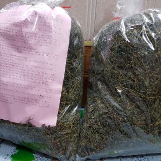 Trà giảo cổ lam hà giang 1kg