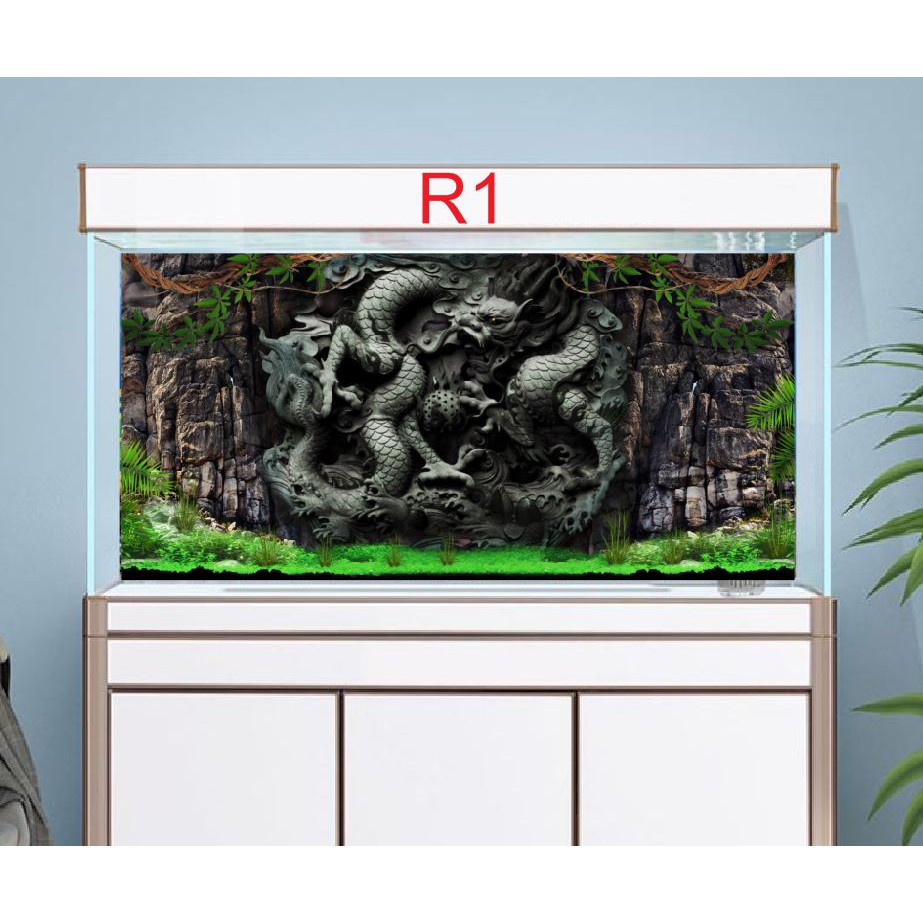 Tranh 3D dán bể cá mẫu rồng R1