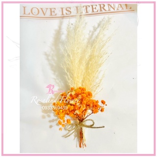 Bó babi mini deco siêu cute, hoa khô trang trí