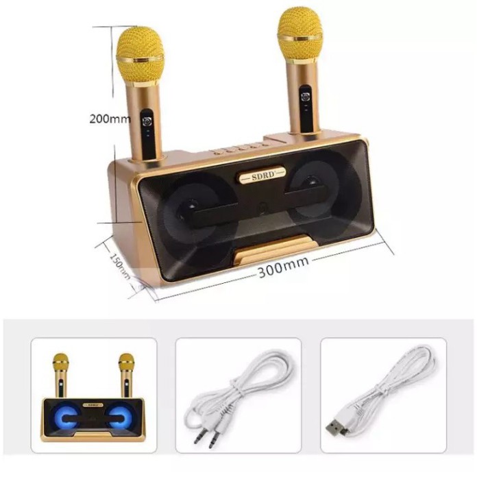 Loa Karaoke SD 301 - SD 306 - SD 309  Kèm 2 Micro Không Dây tích hợp bluetooth 4.0 - usb - thẻ nhớ