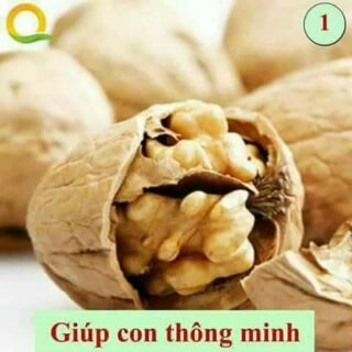 Dầu óc chó