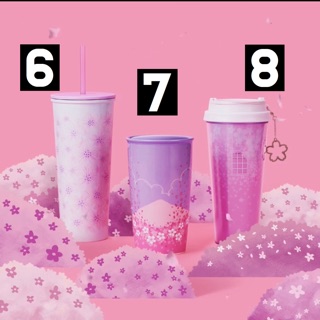 Ly, bình STARBUCKS SAKURA