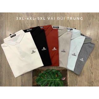 ÁO THUN NAM SIZE ĐẠI SÁU MÀU CỔ BẺ VỪA CÂPH BẾN