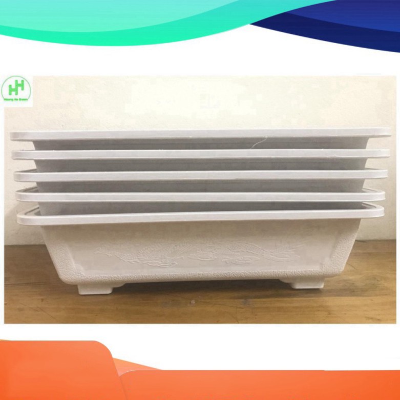 (GIÁ RẺ) 5 Chậu Nhựa Trồng Cây Mini AD 300x200x80 Hình Chữ Nhật Màu Trắng Siêu Đẹp - Made in VIETNAM