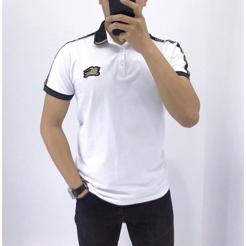 Áo polo nam ngắn tay 5 màu có cổ chất liệu cotton 100%