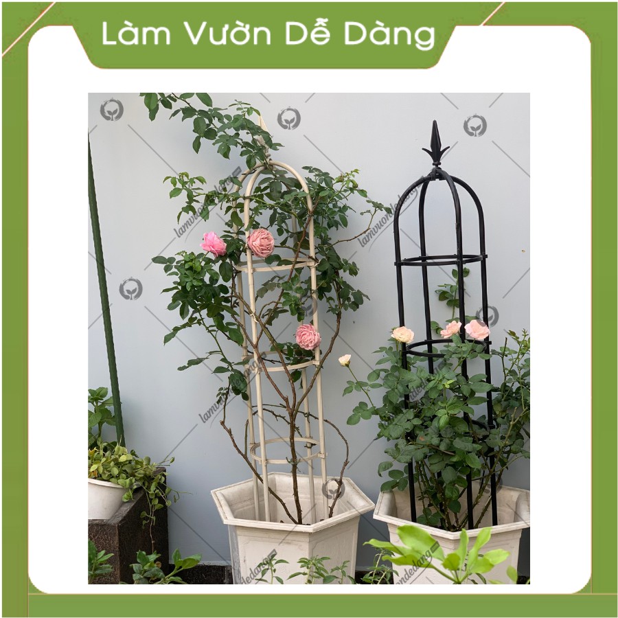 Khung Đỡ, Giá Đỡ Hoa Hồng Leo, KHUNG THÁP CHUÔNG 1.6m