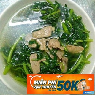 20g Hạt giống Rau Tần ô