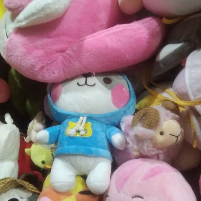 Gấu bông của nhật tâm