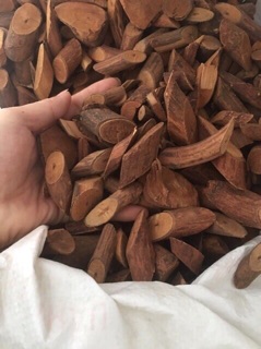 Combo 3 kg cây mú từn