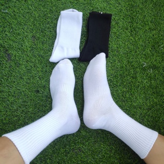 COMBO 5 Đôi Tất trơn không logo cao cổ thời trang cao cấp