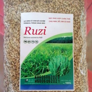 Cỏ Ruzi – Chịu Dẫm đạp (Gói 100g)