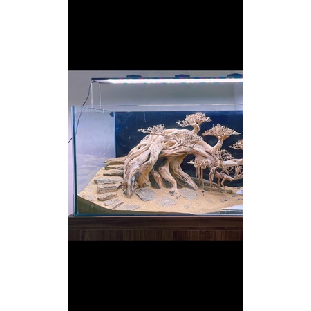 1kg Cát Ngọc Trai Siêu Sạch