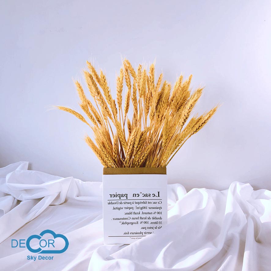 Bó bông lúa mạch khô Sky Decor - Trang trí nhà cửa, văn phòng, mang Tài Lộc tới