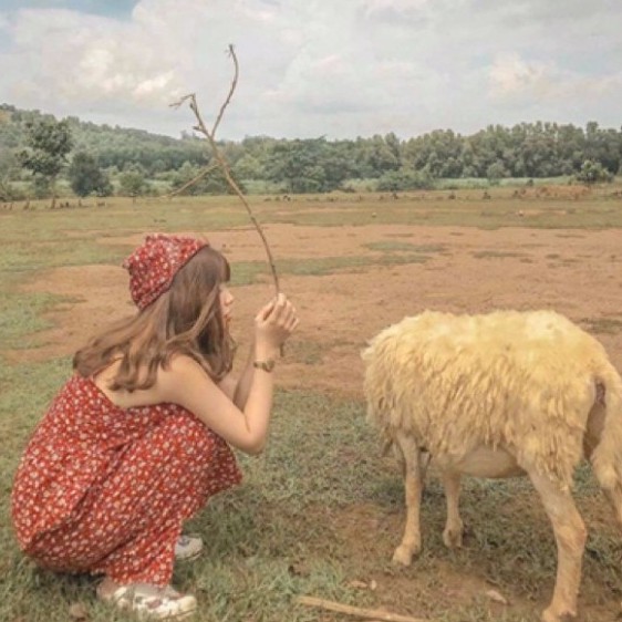 Váy Đầm 2 Dây Nữ Hoa Nhí Siêu Xinh | BigBuy360 - bigbuy360.vn