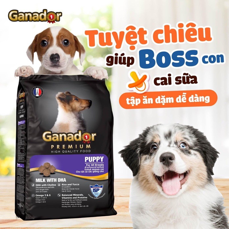 400g Ganador Puppy vị DHA và sữa - Thức ăn chó nhỏ, chó dưới 12 tháng