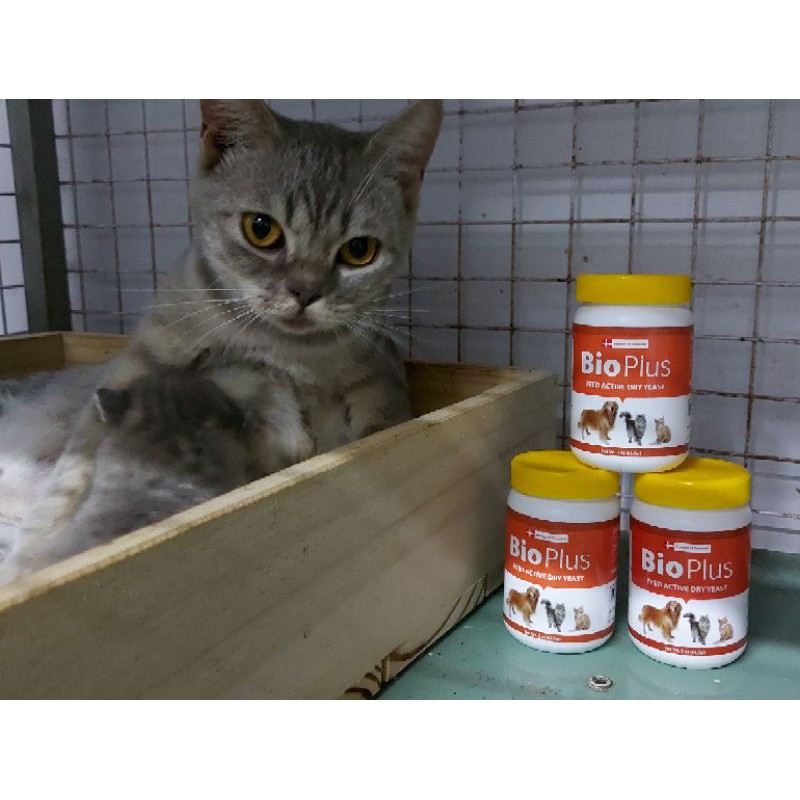 Combo 3 Hủ Cốm Tiêu Hóa Chó mèo #Bioplus 56.7g