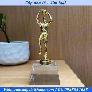 Cúp pha lê kim loại