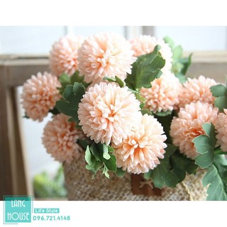 Hoa Giả - HOA CÚC TÂY LOẠI 1 Giống Thật - 1 Cành 2- 3 Bông