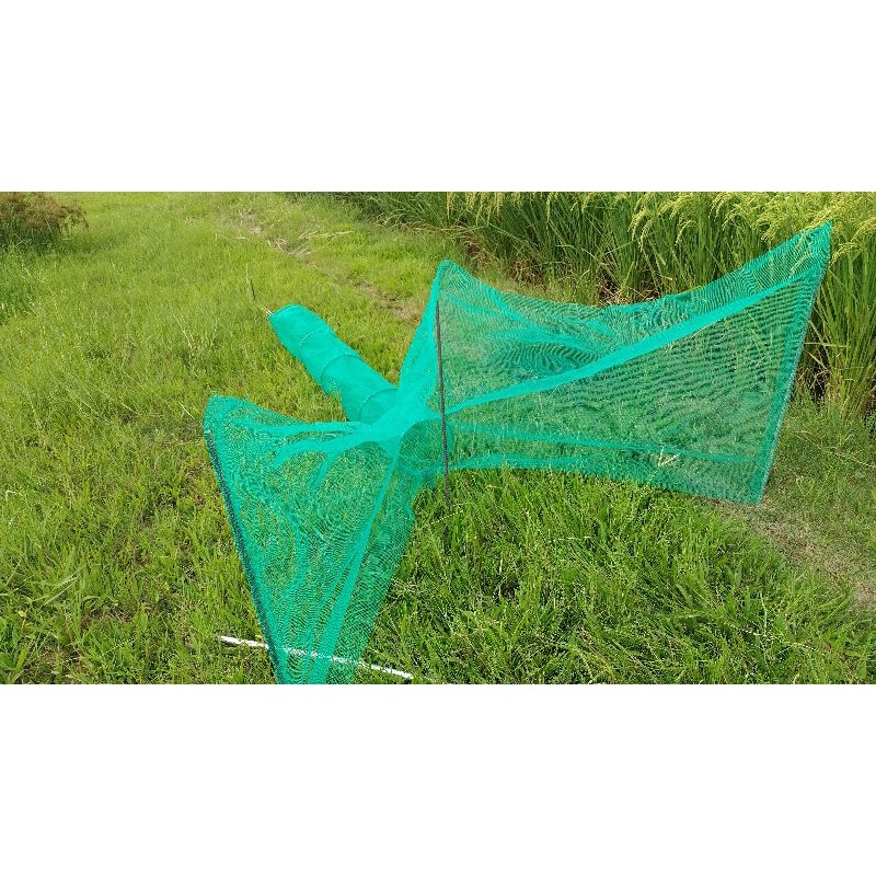 dớn đặt tôm cua cá mắt lưới 3 ly