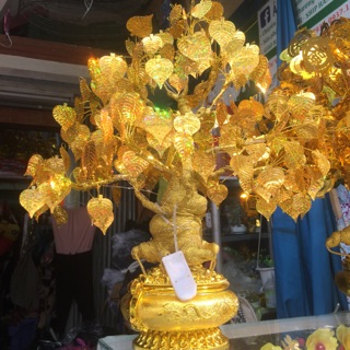 Cây bồ đề bonsai 40cm luôn đèn phk shop