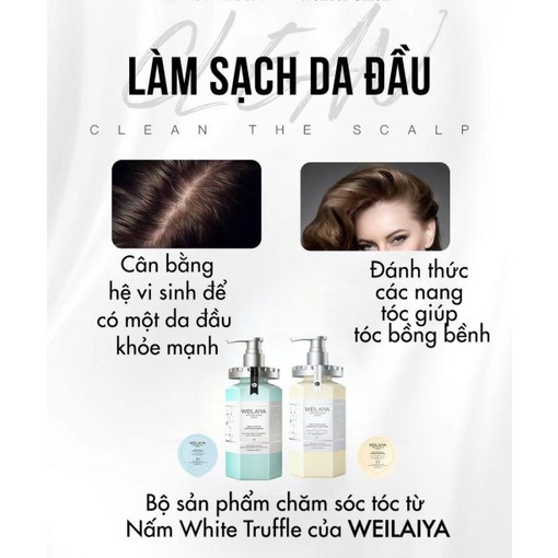 Dầu gội đầu phục hồi tóc hư tổn cho tóc nhuộm Weilaiya 450ml - iu.cosmetics