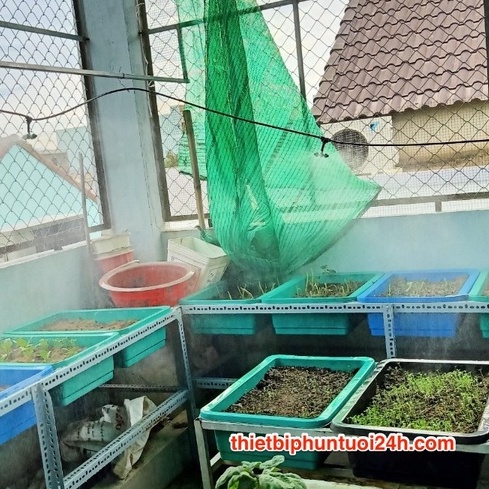 10m dây dẫn phun sương ống 8ly đen loại chống riêu chống nắng loại tốt - MHL