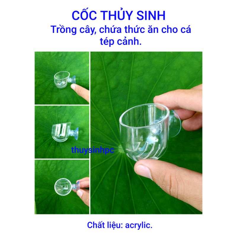Cốc thủy sinh  M
