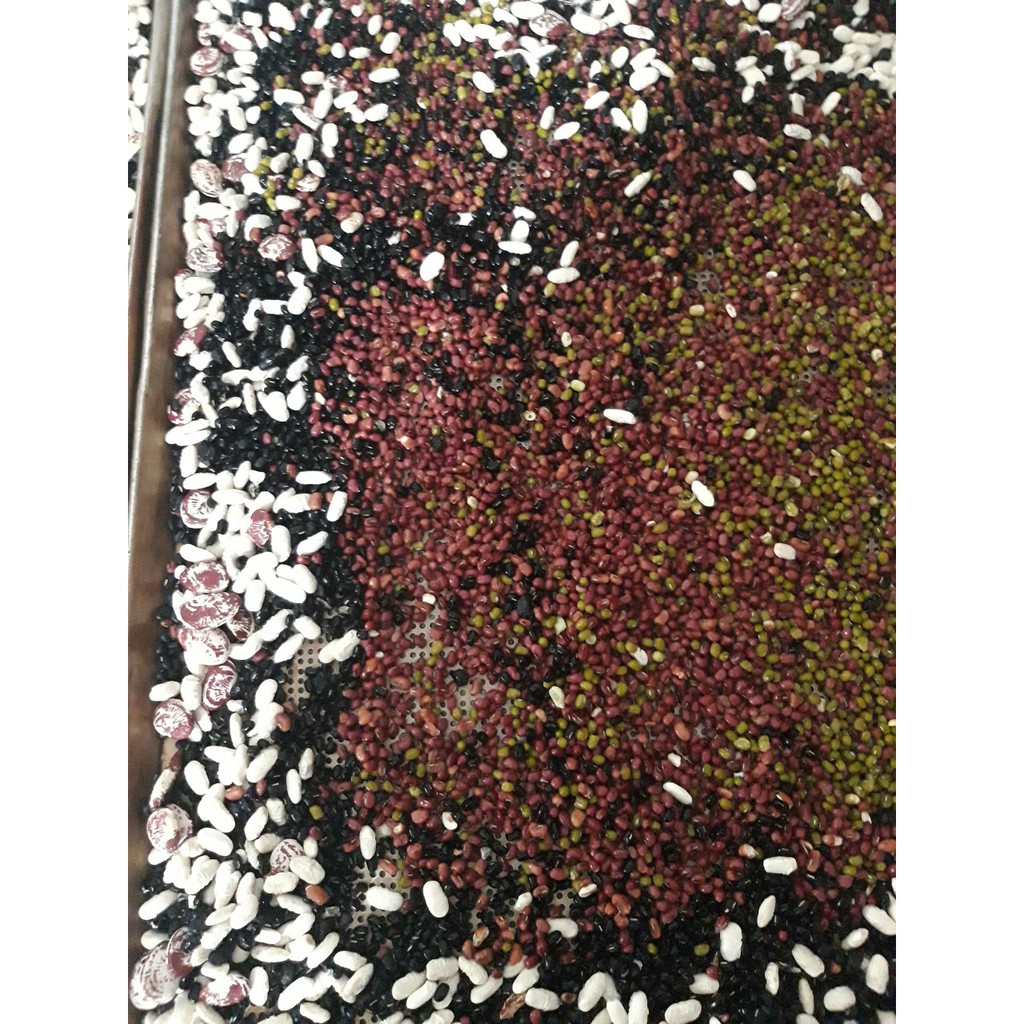 Bột Ngũ CốcTăng Cân Mix 6 Loại Hạt Dinh Dưỡng Cho Người Lớn, Trẻ Em 500 Gram