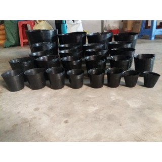 Bầu Ươm Cây Giống Size 15*13