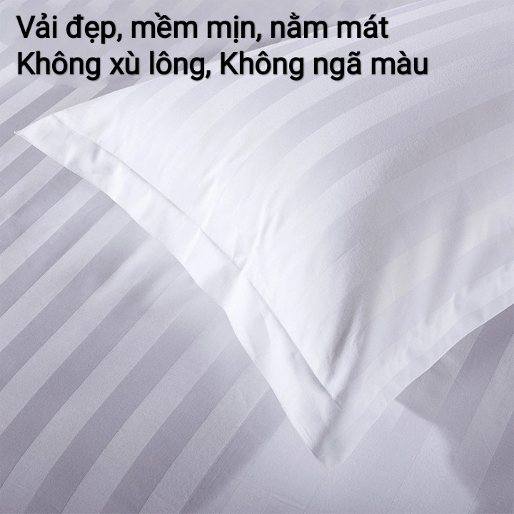 Bộ chăn ga gối đệm, drap giường cotton 100% cao cấp chuẩn khách sạn 5 sao, ra vải dày mịn nằm cực mát