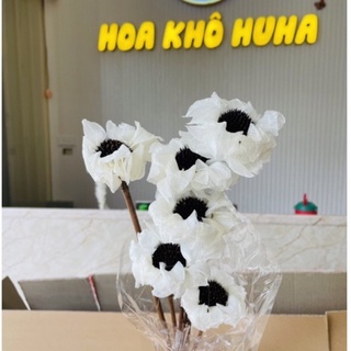 Hoa Khô Cánh Tiên Trắng Xinh Xắn Trang Trí Decor