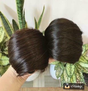 Búi giả búi phồng cao