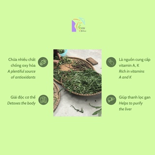 Bột Bồ Công Anh