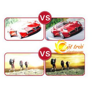 Mắt kính phân cực BERTHA