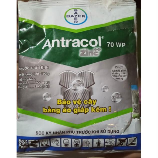 Thuốc trị bệnh thối rễ, vi khuẩn, bảo vệ lá Antracol 70wp .