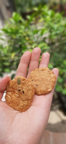 Bánh cookies yến mạch choco chip